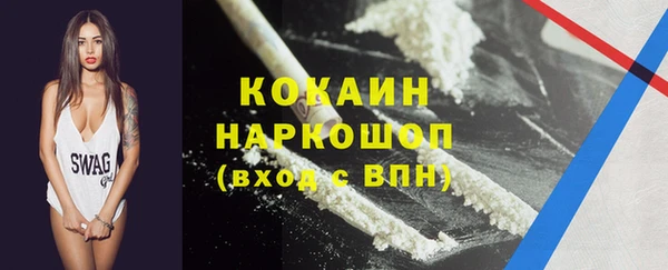 ГАЛЛЮЦИНОГЕННЫЕ ГРИБЫ Бородино