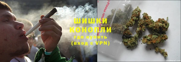 ГАЛЛЮЦИНОГЕННЫЕ ГРИБЫ Бородино