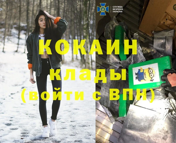 mix Богородицк