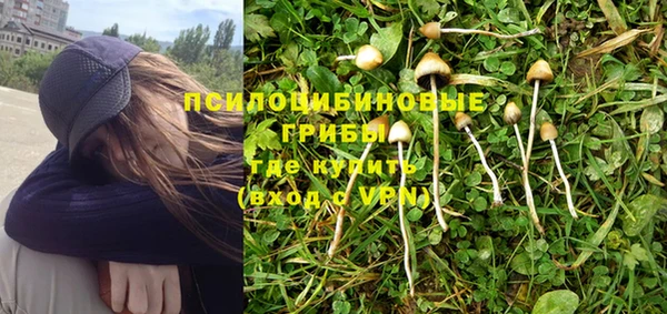 ГАЛЛЮЦИНОГЕННЫЕ ГРИБЫ Бородино