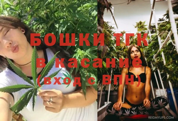 ГАЛЛЮЦИНОГЕННЫЕ ГРИБЫ Бородино