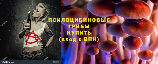 ГАЛЛЮЦИНОГЕННЫЕ ГРИБЫ Бородино
