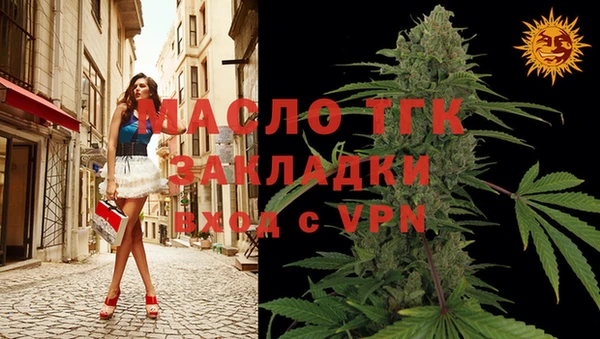 mix Богородицк