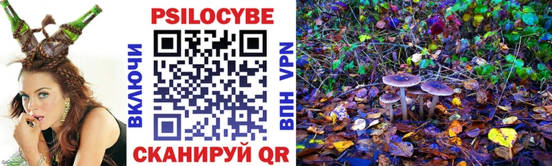 Галлюциногенные грибы Psilocybe  даркнет сайт  Белёв 